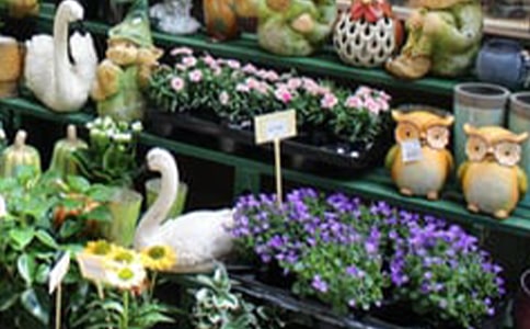鲜花店面转让合同