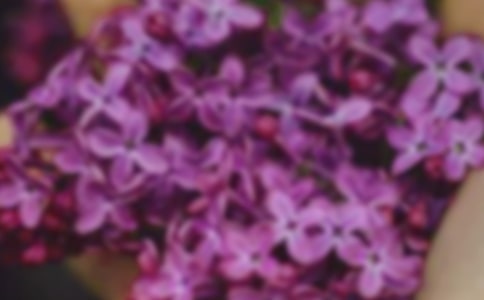 心灵的花朵作文(集合14篇)