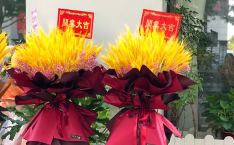 生命的花篮初中写事作文
