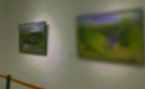 看画展作文