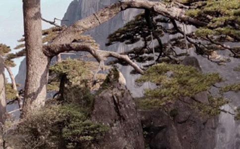 黄山作文结尾