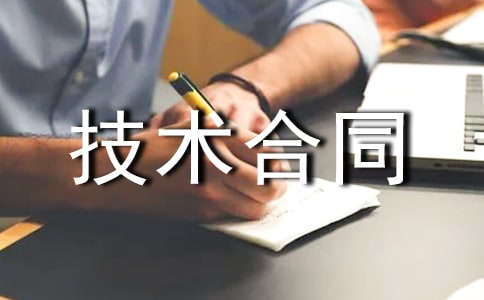 人力技术合同范本