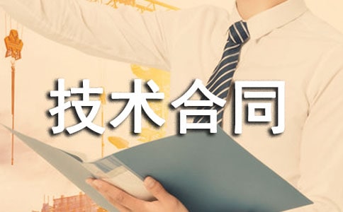 小程序技术合同