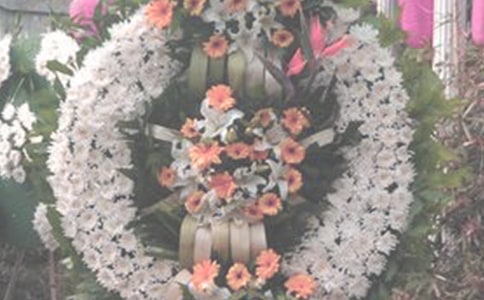 祭奠的作文合集(14篇)
