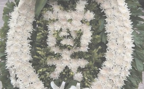 心情随笔：祭奠一下那个青涩的年纪