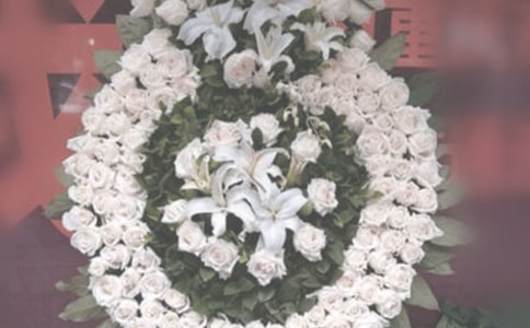 小学生祭奠英烈的寄语