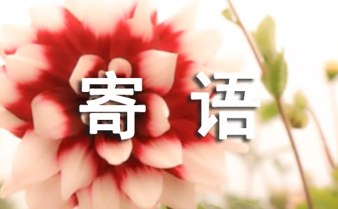 凤凰寄语散文