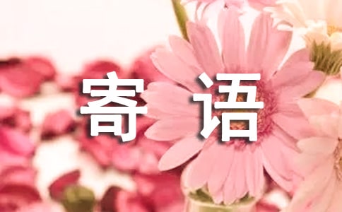 新春安全寄语