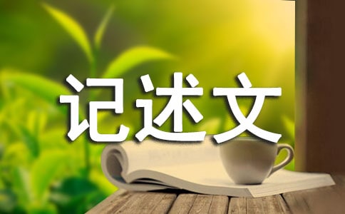 写人的记述文的作文2篇