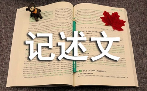 和自己赛跑的记述文