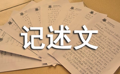 初中优秀记述文