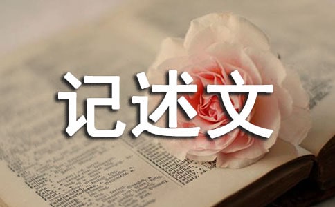 难忘的约定记述文