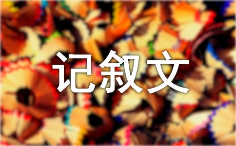 难忘的一件事-六年级-记叙文