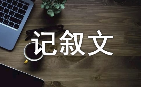 记一次有意义的活动记叙文
