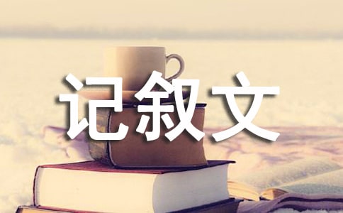 随笔600字初中暑假记叙文