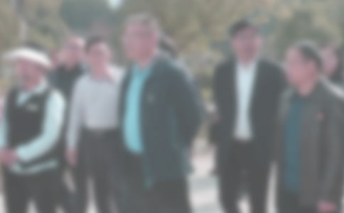 学生违纪检讨(合集15篇)