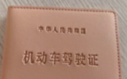 学驾照退学申请书