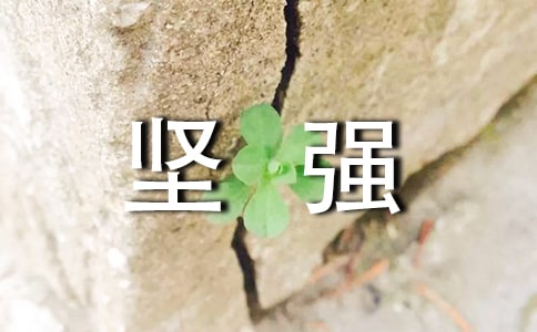 坚强为题作文6篇