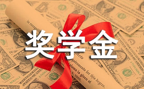 大一奖学金个人总结