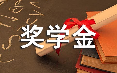 奖学金理由