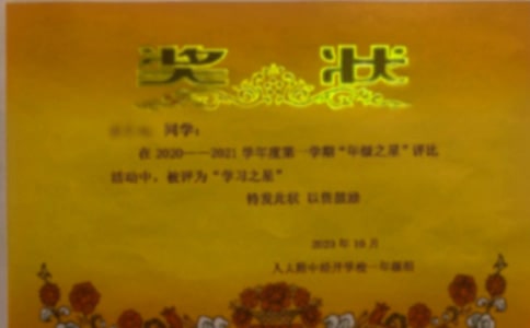 一张奖状的作文