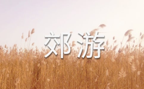 关于郊游作文（精选60篇）