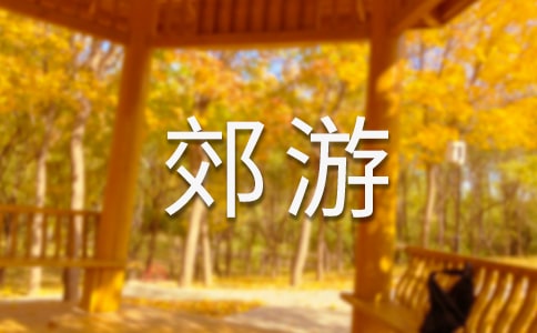 郊游看图写话