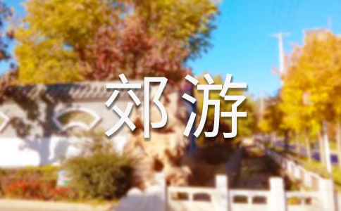 我建议去哪郊游作文