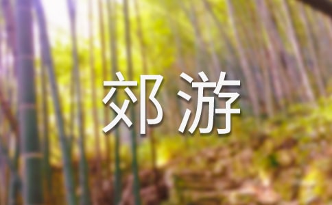 郊游看图写话作文（通用40篇）
