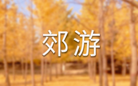 有趣的郊游作文（通用20篇）