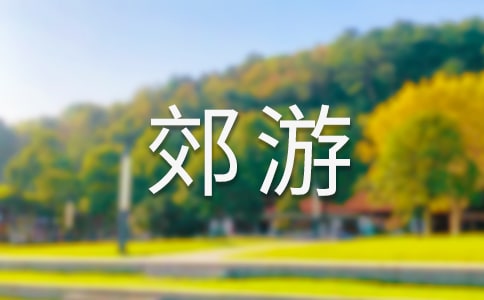 【精品】郊游作文300字17篇