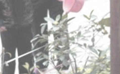 精选浇花作文400字（通用54篇）