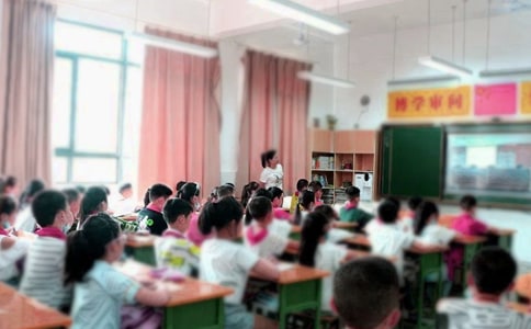 【推荐】大班教学随笔