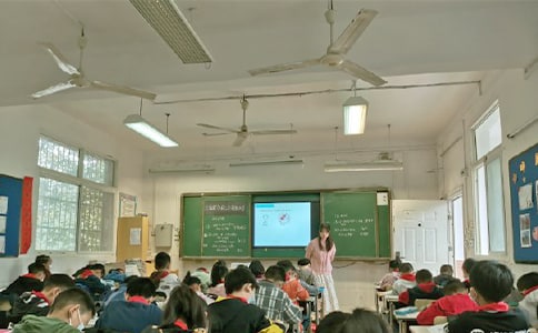 麋鹿教学实录
