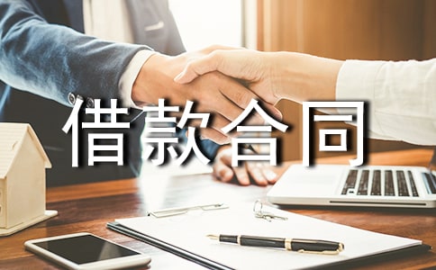标准版金融借款合同书