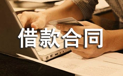 金融机构借款合同(精选12篇)