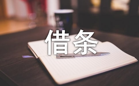 个人利息借条范本