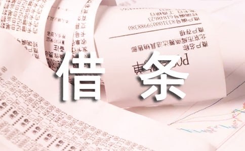 关于个人借物品的借条范本