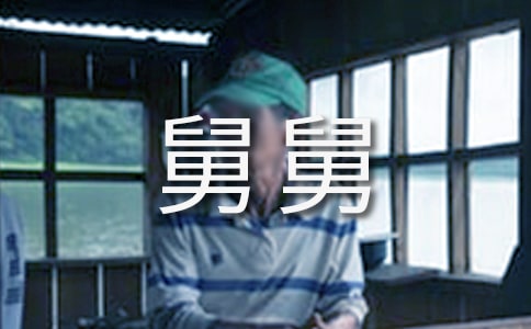 我的好舅舅作文