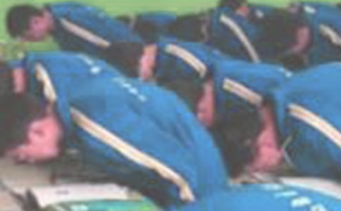 向什么鞠躬作文