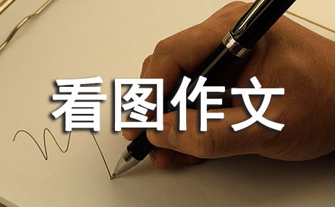 六年级看图作文