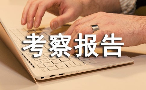 园长的个人考察报告范文