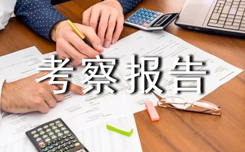 延安市农村社会发展的考察报告