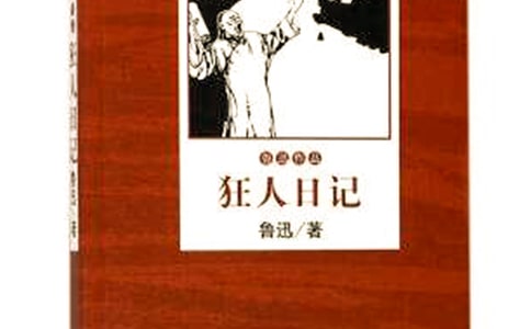狂人日记读后感600字