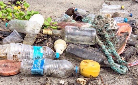 垃圾桶作文