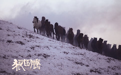 中学生《狼图腾》读书有感
