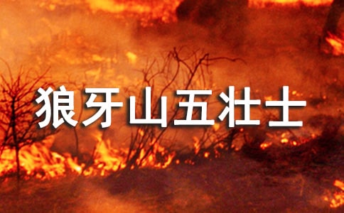 狼牙山五壮士作文（通用25篇）