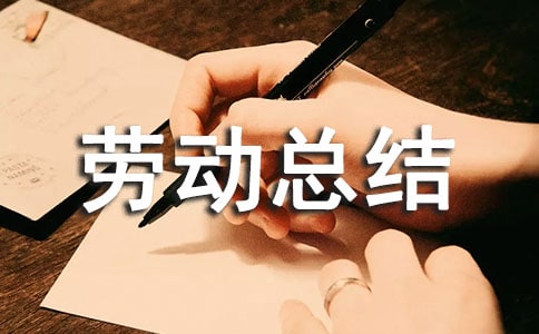小组期末劳动总结(精选11篇)
