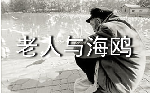 老人与海鸥心得体会精选例文