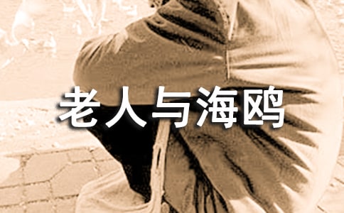读老人与海鸥有感